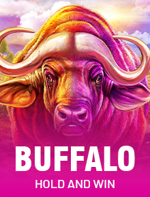 Buffalo Hold and Win